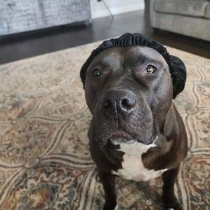 Meet your Posher, Tru